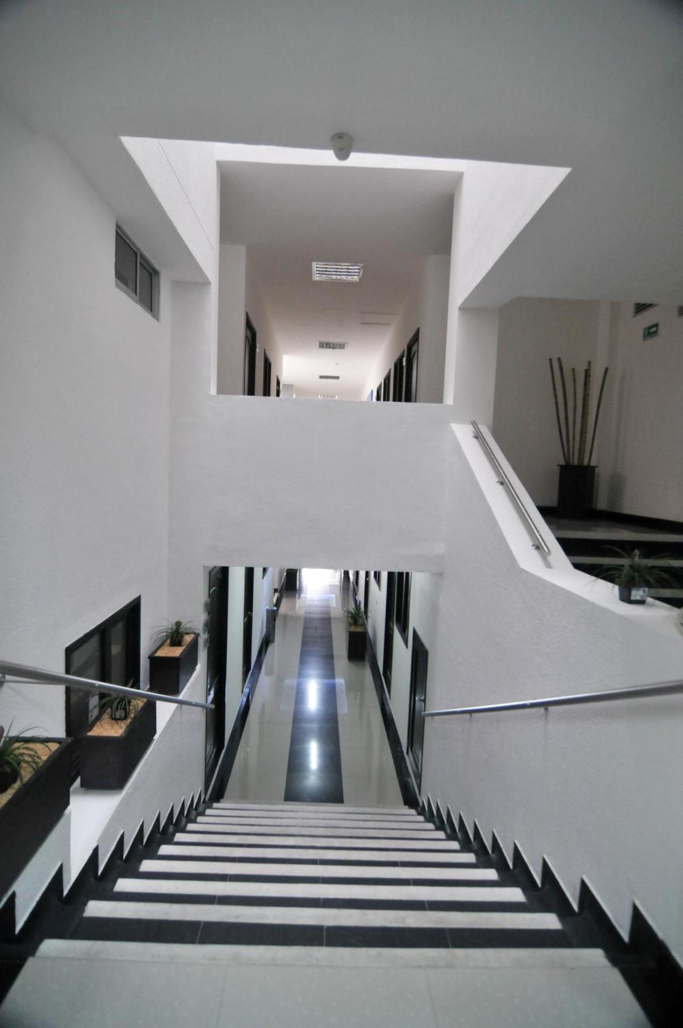 Hotel Cafeira Pereira Εξωτερικό φωτογραφία